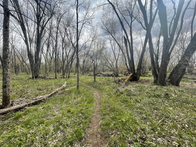 Dirt path through trees in Powderhorn Village. Part of Upper Peninsula travel itineraries.