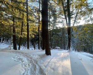 Snowy trail through trees near Big Powderhorn Mountain, perfect for Powderhorn Village winter activities.