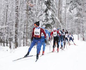 Cross-country skiers racing in a snowy forest, a Big Powderhorn winter activity.