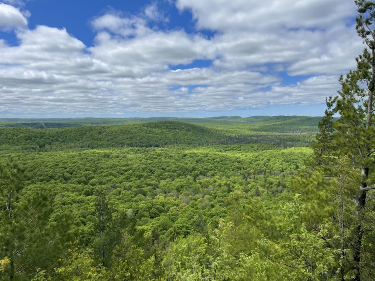 Lush green forest landscape on a sunny day near Big Powderhorn Mountain, ideal for Upper Peninsula travel itineraries.