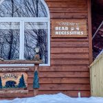 BEAR NECESSITIES