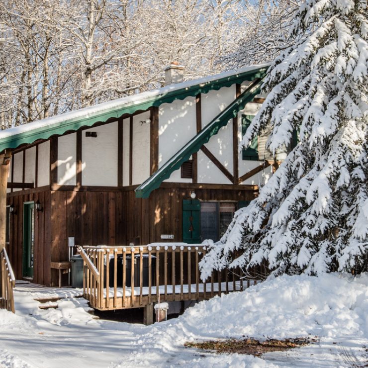 Snow-covered cabin with green trim and a large snow-laden pine tree, a winter scene.