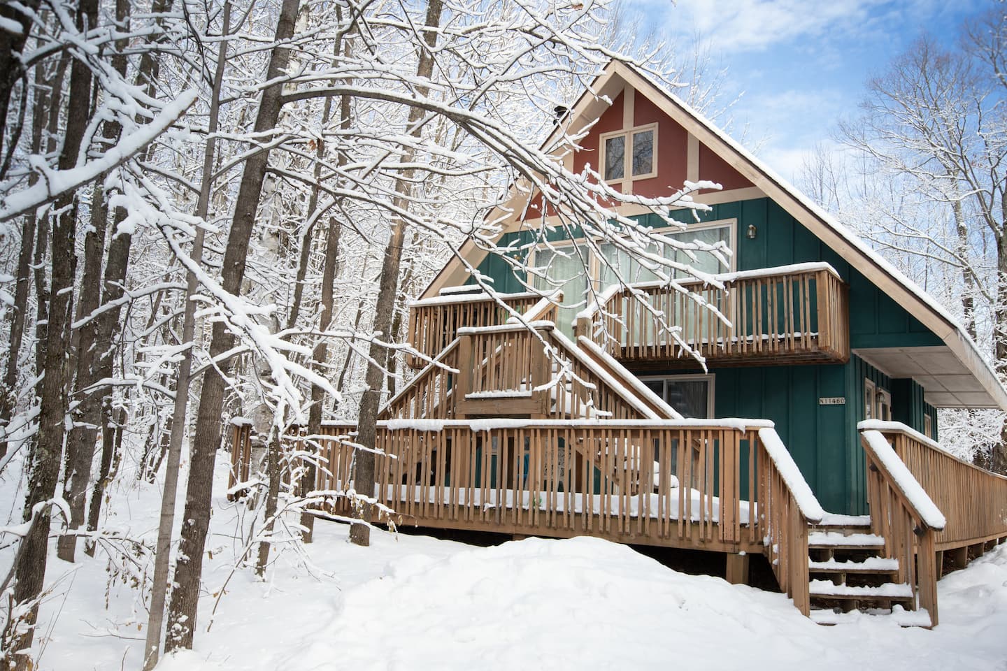 Tealwood Snow