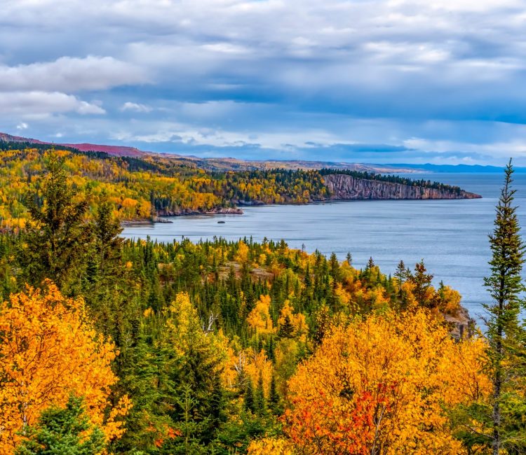Fall Colors